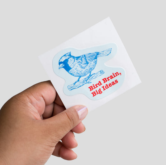 Bird Brain, Big Ideas Sticker
