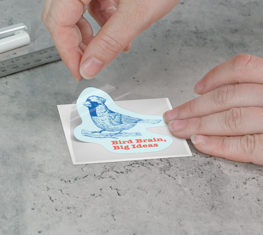 Bird Brain, Big Ideas Sticker